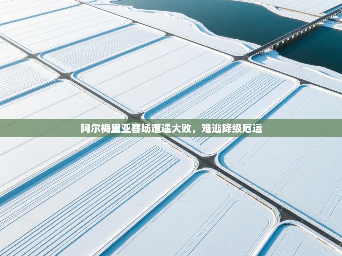 阿尔梅里亚客场遭遇大败，难逃降级厄运  第1张